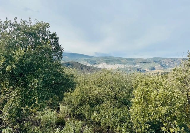 3 bedroom Finca/Country House for sale in Loja with garage - € 173,000 (Ref: 9693111)