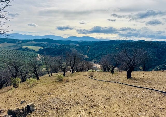 3 bedroom Finca/Country House for sale in Loja with garage - € 173,000 (Ref: 9693111)