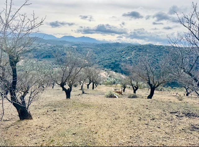 3 Zimmer Finca/Landgut zu verkaufen in Loja mit Garage - 173.000 € (Ref: 9693111)