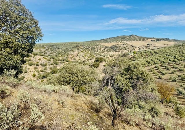 3 bedroom Finca/Country House for sale in Loja with garage - € 173,000 (Ref: 9693111)