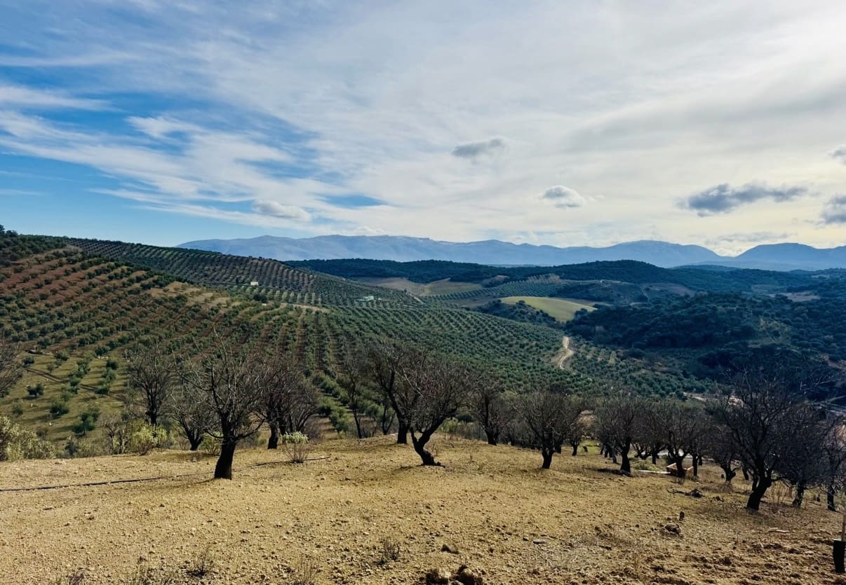 3 bedroom Finca/Country House for sale in Loja with garage - € 173,000 (Ref: 9693111)