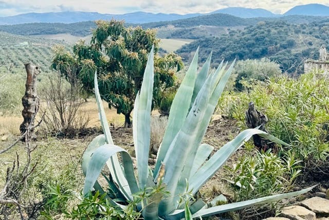 3 bedroom Finca/Country House for sale in Loja with garage - € 173,000 (Ref: 9693111)