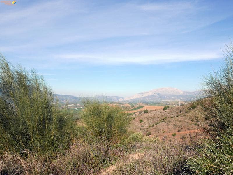 3 soveværelse Finca/Landehus til salg i Alora med garage - € 203.000 (Ref: 9716716)