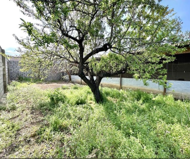 Terre non Aménagée à vendre à Fuente de Piedra - 30 000 € (Ref: 9747063)