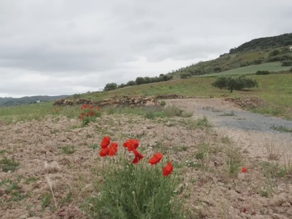 1 soverom Finca/Herregård til salgs i Alora - € 138 000 (Ref: 9793624)