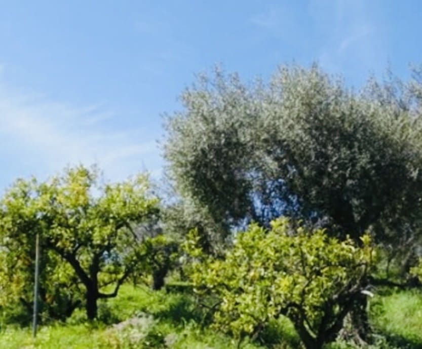 1 soveværelse Finca/Landehus til salg i Coin - € 160.000 (Ref: 9793625)