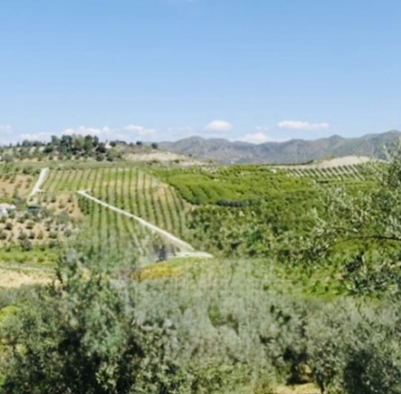 1 soveværelse Finca/Landehus til salg i Coin - € 160.000 (Ref: 9793625)