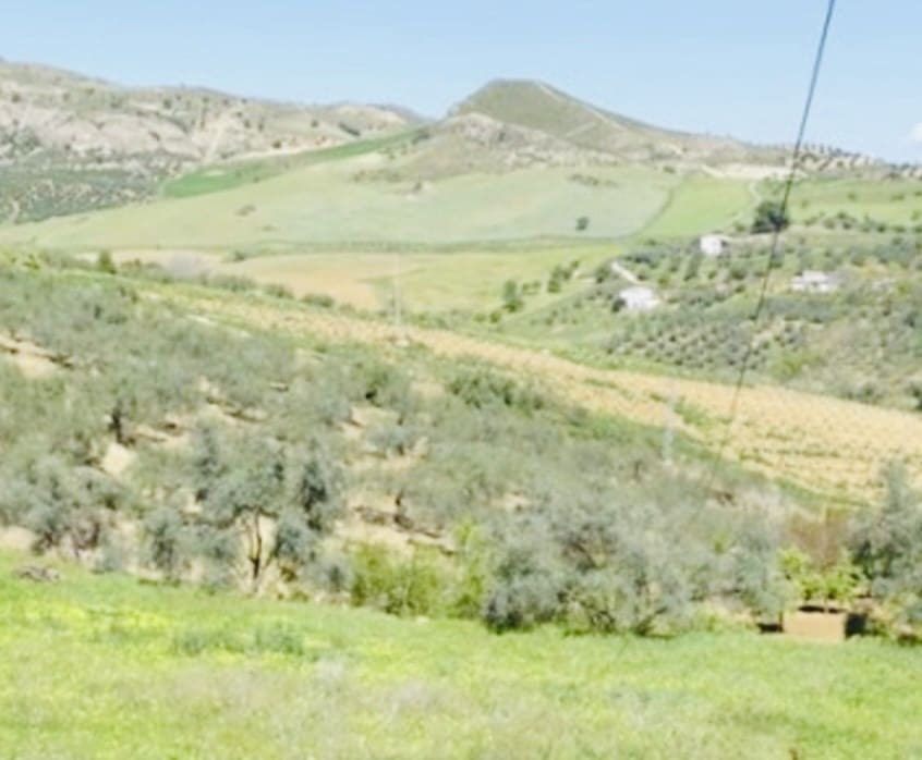 1 soveværelse Finca/Landehus til salg i Coin - € 160.000 (Ref: 9793625)