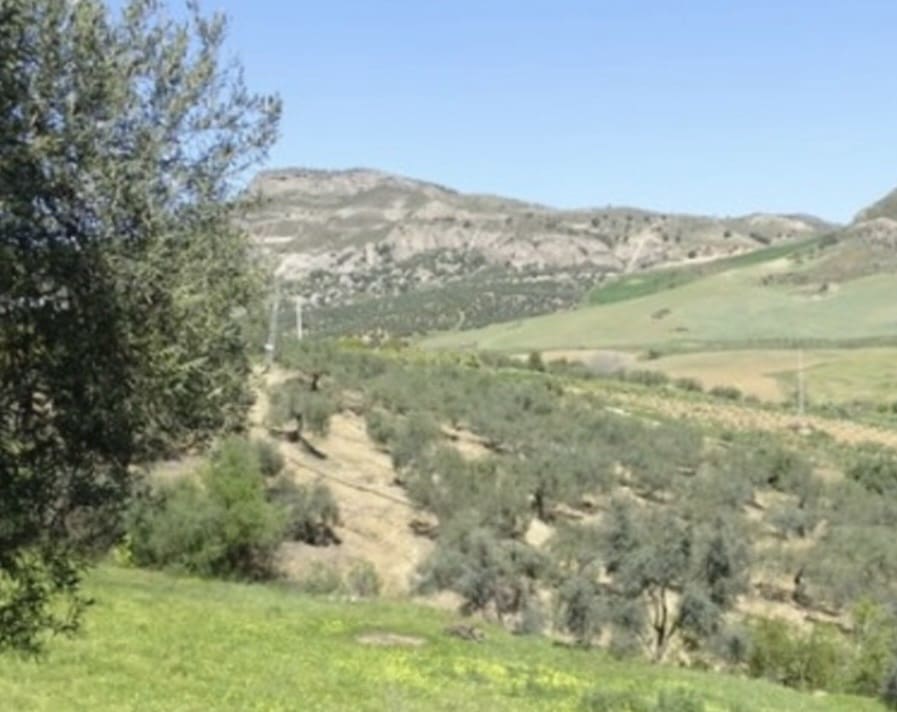 1 soveværelse Finca/Landehus til salg i Coin - € 160.000 (Ref: 9793625)