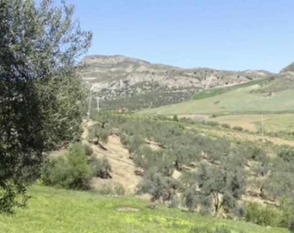 1 soveværelse Finca/Landehus til salg i Coín - € 160.000 (Ref: 9793625)