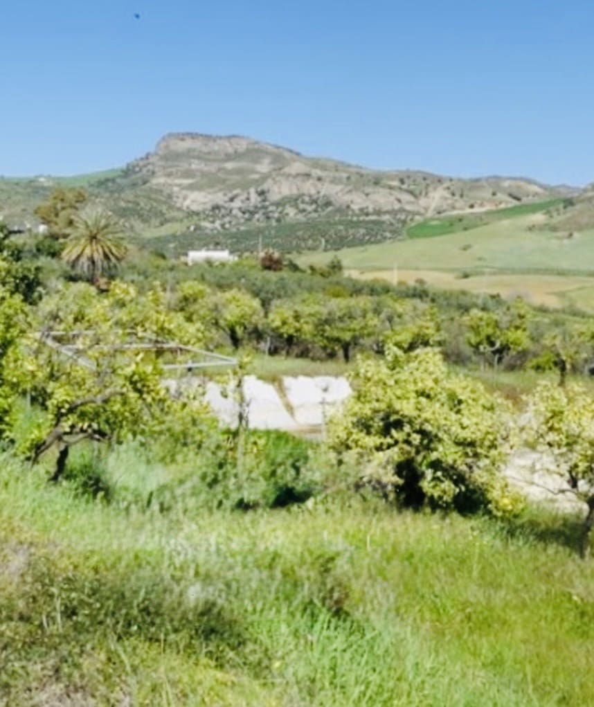 1 soveværelse Finca/Landehus til salg i Coin - € 160.000 (Ref: 9793625)