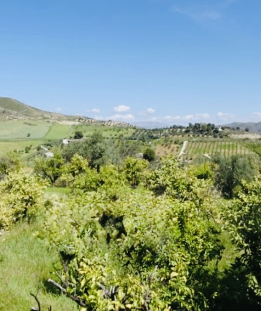 1 soveværelse Finca/Landehus til salg i Coin - € 160.000 (Ref: 9793625)