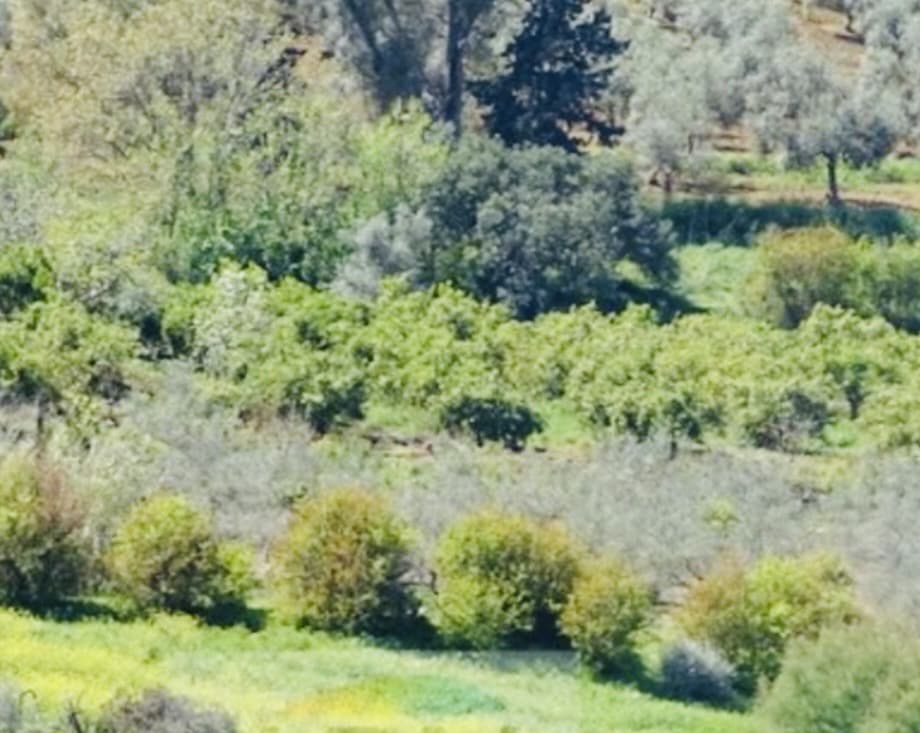 1 soveværelse Finca/Landehus til salg i Coin - € 160.000 (Ref: 9793625)