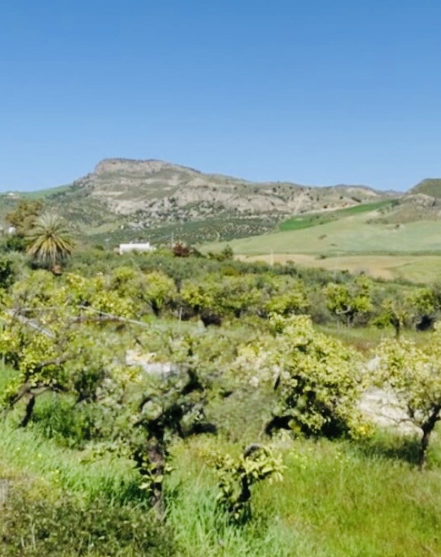 1 soveværelse Finca/Landehus til salg i Coin - € 160.000 (Ref: 9793625)