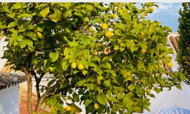 3 sypialnia Dom na sprzedaż w Archidona - 139 500 € (Ref: 9797419)