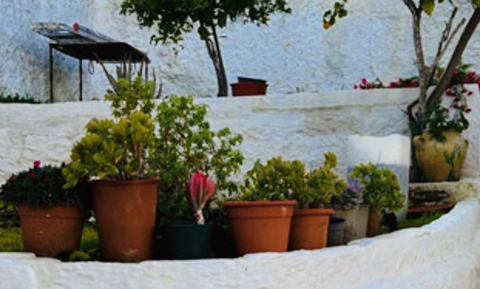 3 sypialnia Dom na sprzedaż w Archidona - 139 500 € (Ref: 9797419)