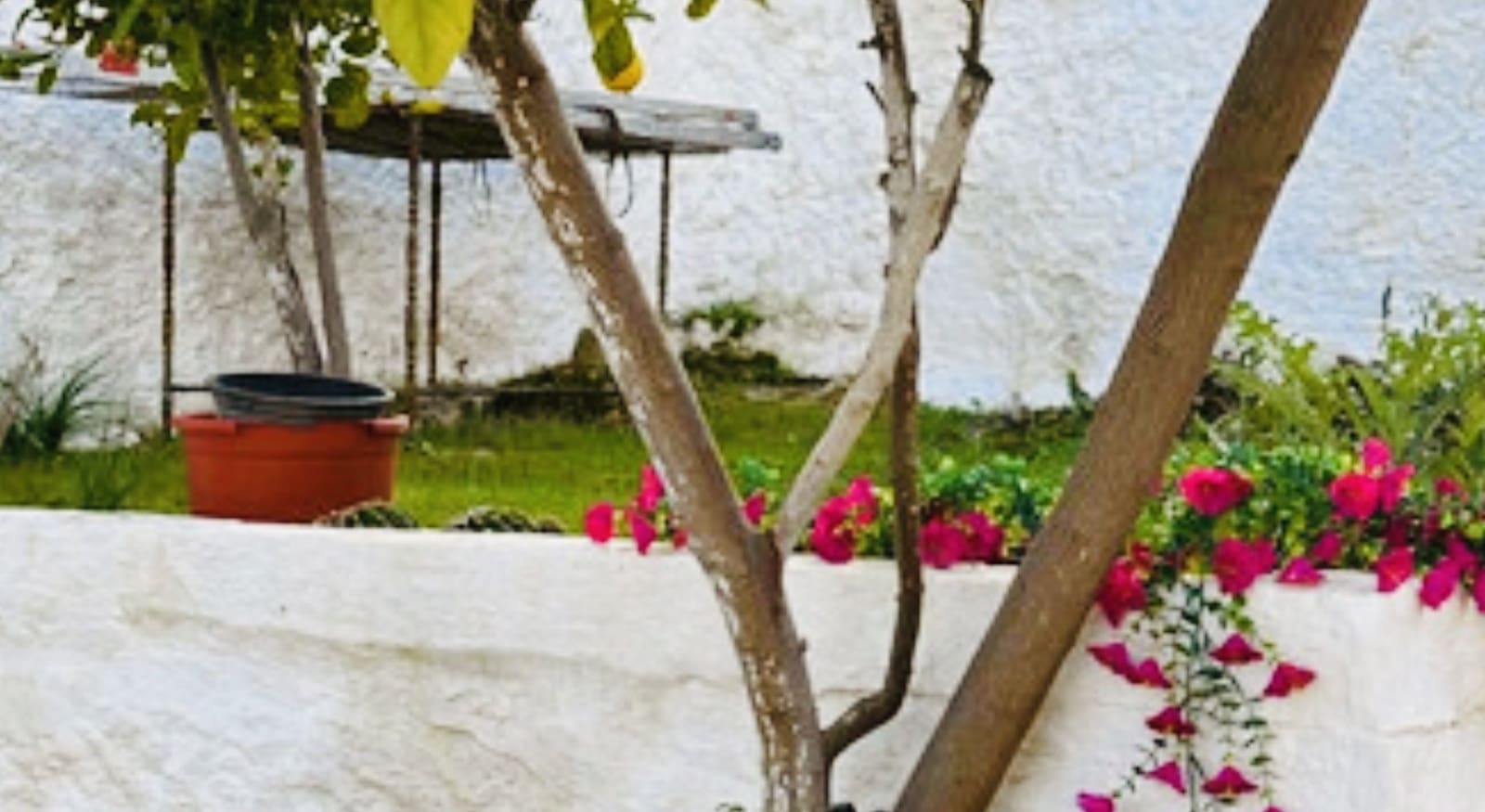 3 sypialnia Dom na sprzedaż w Archidona - 139 500 € (Ref: 9797419)