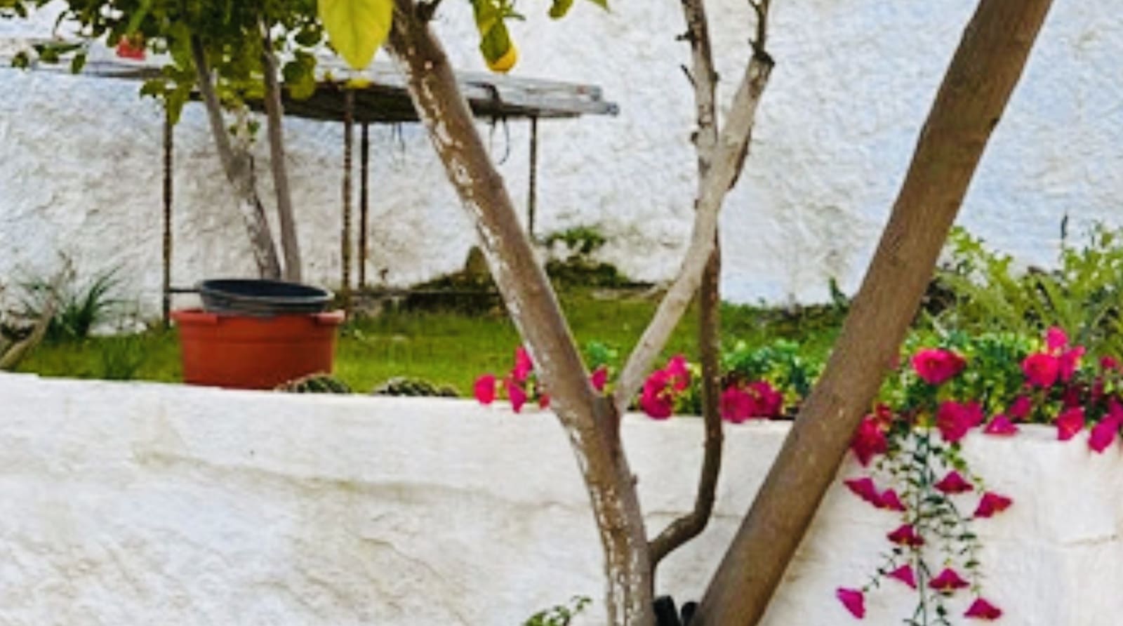 3 sypialnia Dom na sprzedaż w Archidona - 139 500 € (Ref: 9797419)