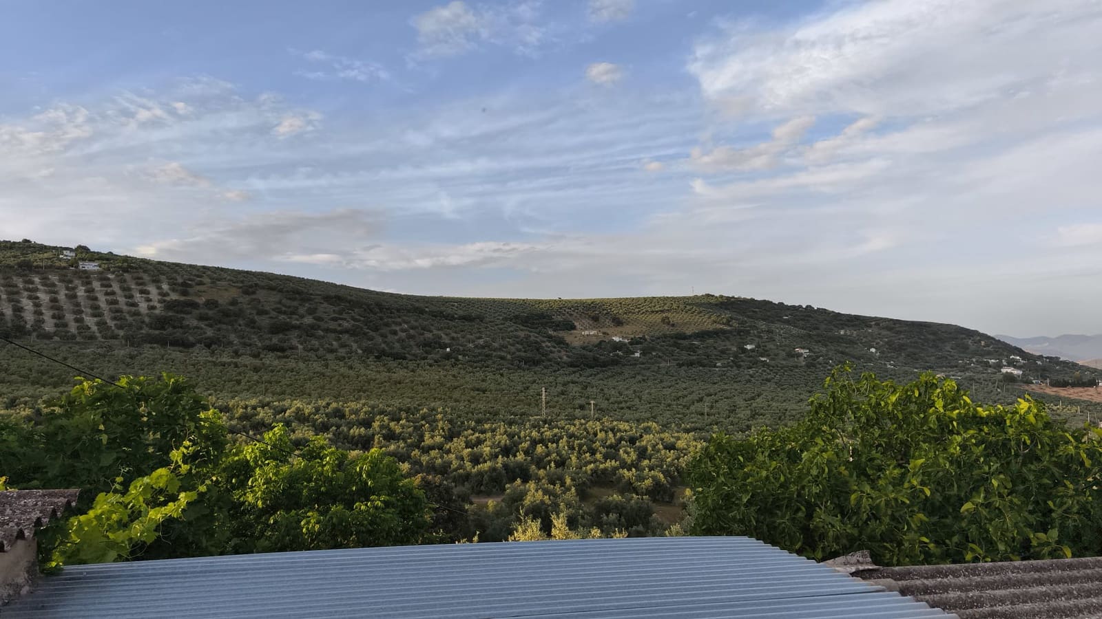 4 bedroom Finca/Country House for sale in Iznajar - € 139,000 (Ref: 9858844)