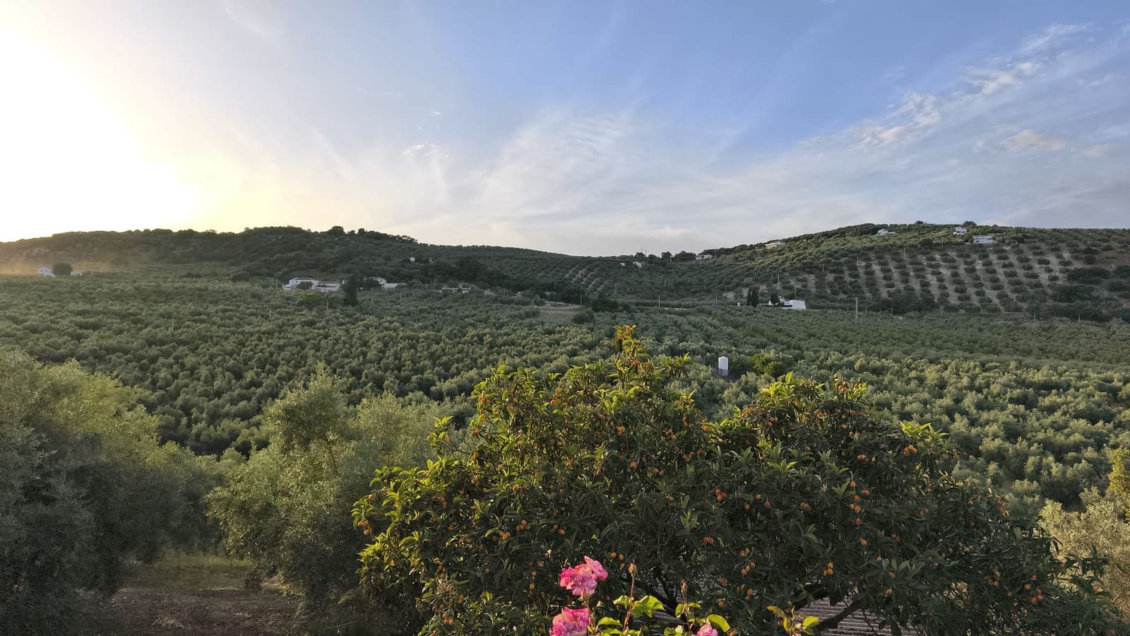 4 bedroom Finca/Country House for sale in Iznajar - € 139,000 (Ref: 9858844)