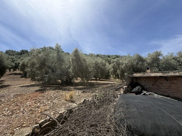 4 bedroom Finca/Country House for sale in Iznajar - € 139,000 (Ref: 9858844)