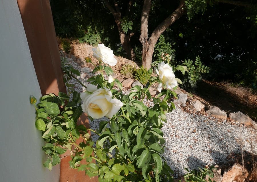 4 bedroom Finca/Country House for sale in El Chorro with pool garage - € 395,000 (Ref: 9858852)