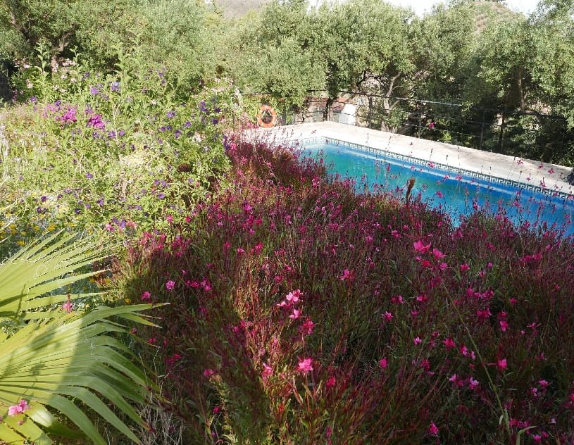 4 bedroom Finca/Country House for sale in El Chorro with pool garage - € 395,000 (Ref: 9858852)