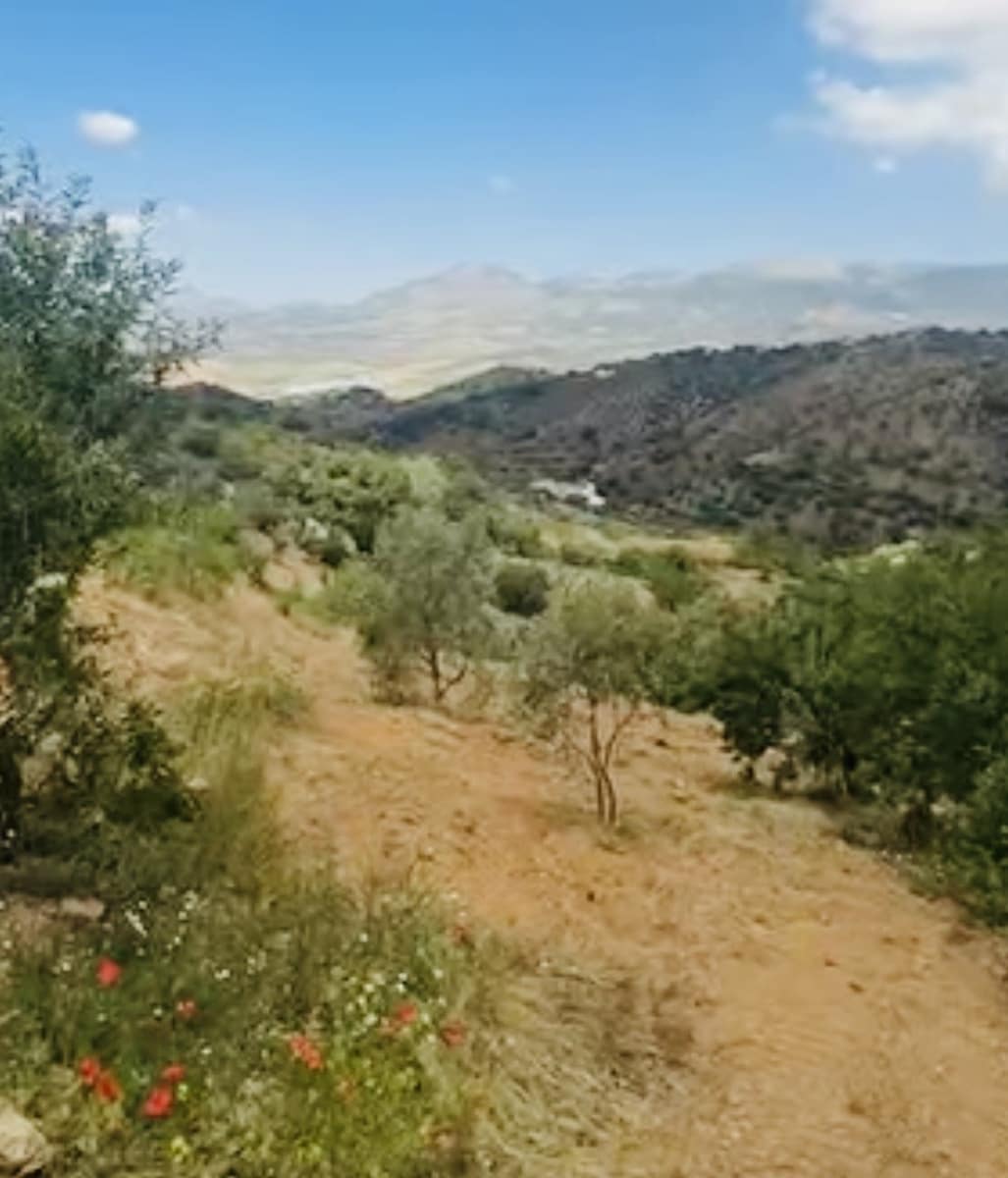 Finca/Country House for sale in Colmenar with garage - € 69,000 (Ref: 9921454)