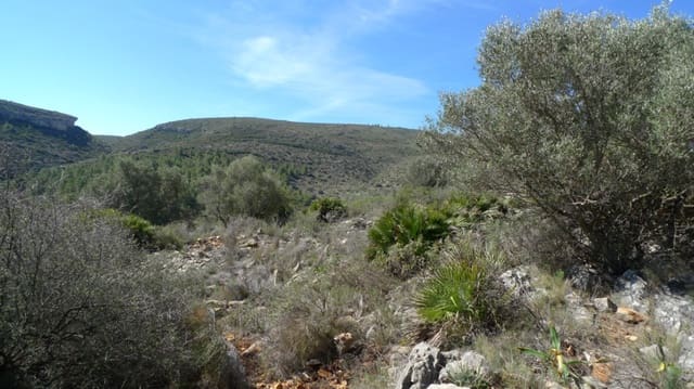 Undeveloped Land for sale in Benigembla / Benichembla - € 90,000 (Ref: 9073748)