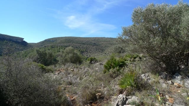 Undeveloped Land for sale in Benigembla / Benichembla - € 90,000 (Ref: 9073748)