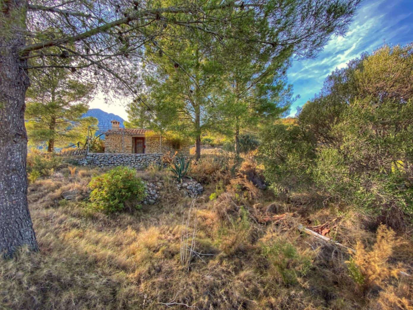 Ubebygd land til salgs i Jalon / Xalo - € 220 000 (Ref: 9073788)