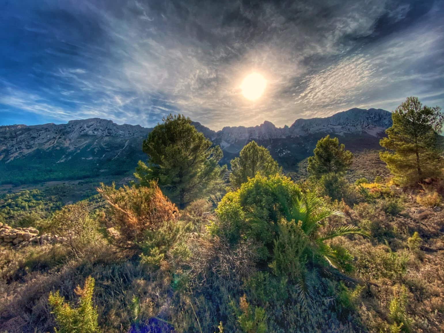 Ubebygd land til salgs i Jalon / Xalo - € 220 000 (Ref: 9073788)