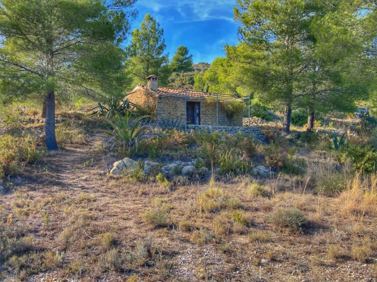 Ubebygd land til salgs i Jalon / Xalo - € 220 000 (Ref: 9073788)