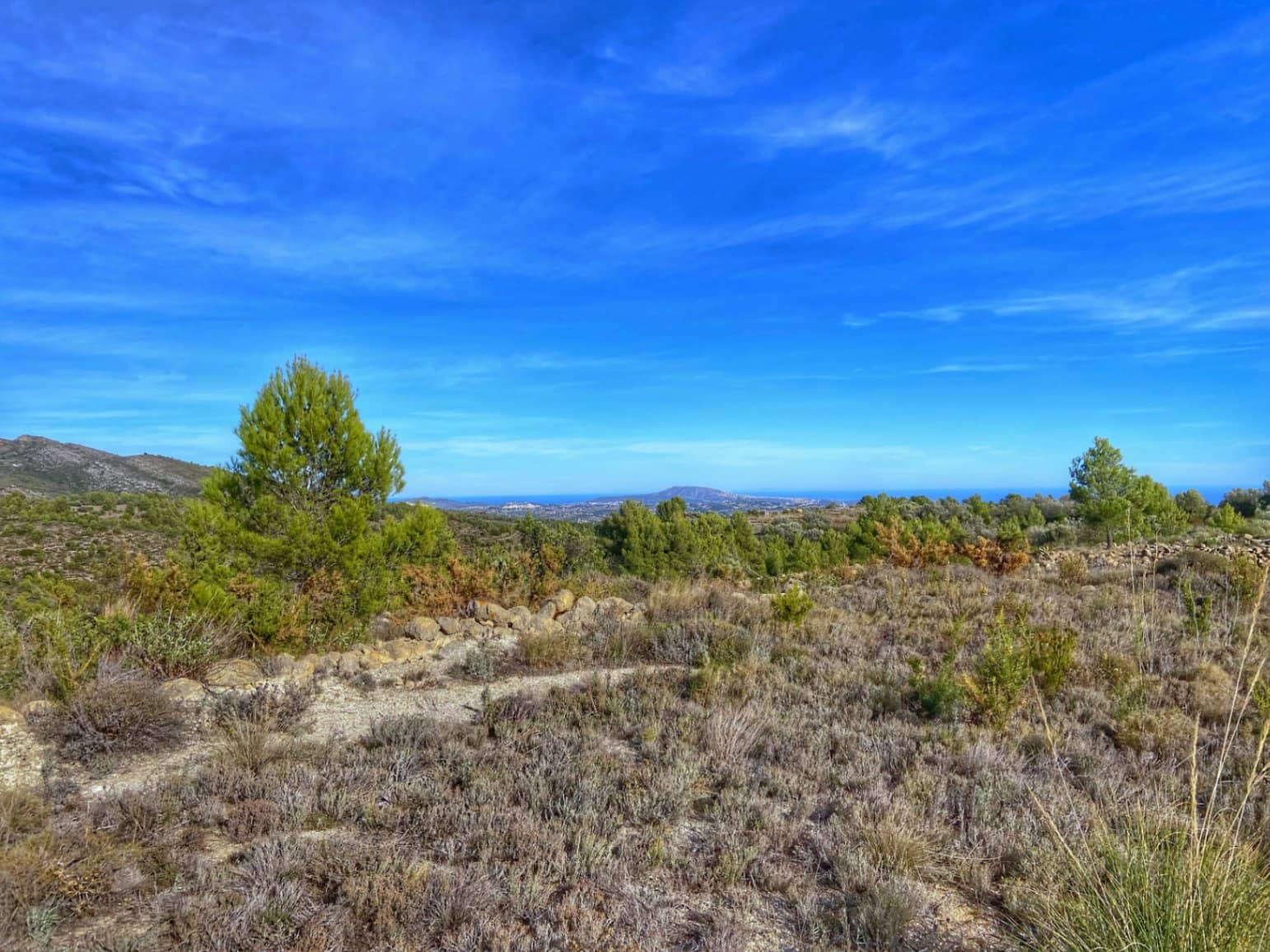 Ubebygd land til salgs i Jalon / Xalo - € 220 000 (Ref: 9073788)