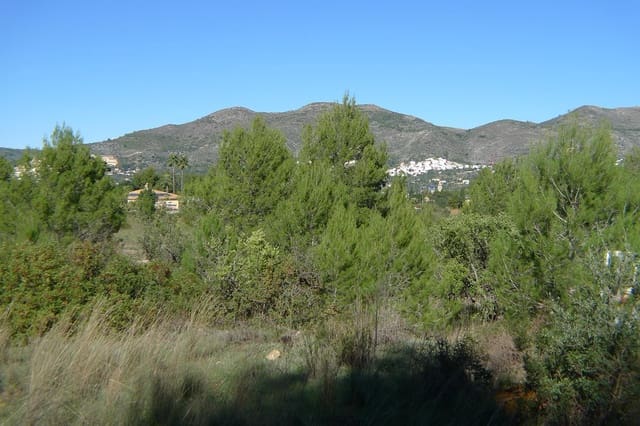 Undeveloped Land for sale in Jalón / Xaló - € 160,000 (Ref: 9073794)
