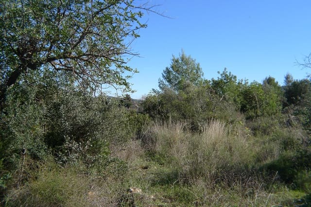 Undeveloped Land for sale in Jalón / Xaló - € 160,000 (Ref: 9073794)