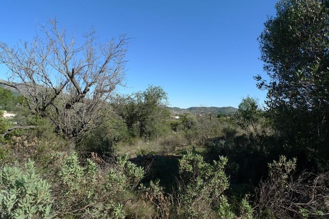 Undeveloped Land for sale in Jalón / Xaló - € 160,000 (Ref: 9073794)