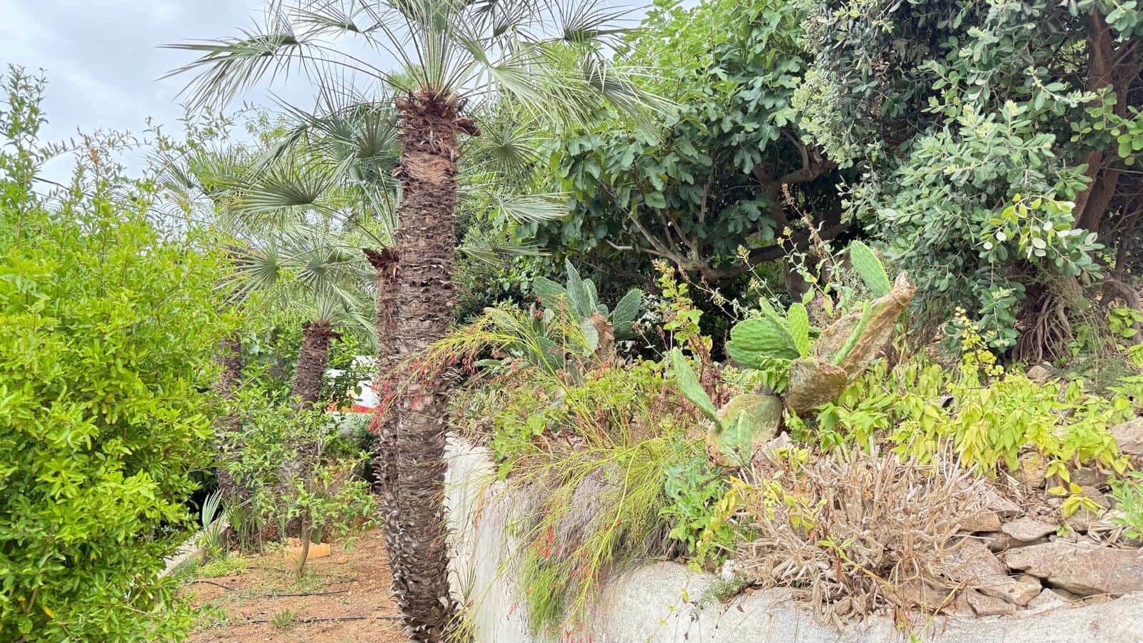 5 bedroom Villa for sale in Javea / Xabia with pool - € 970,000 (Ref: 9126304)