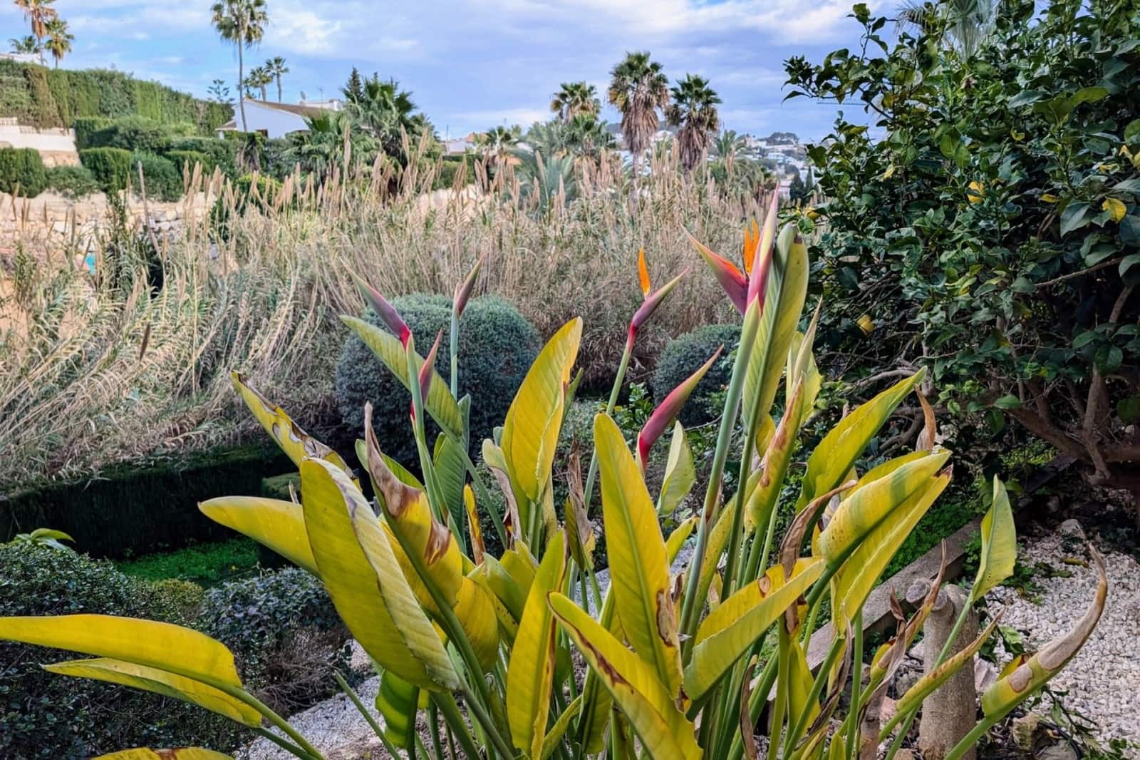 4 chambre Villa/Maison à vendre à Benissa avec piscine - 599 500 € (Ref: 9564047)