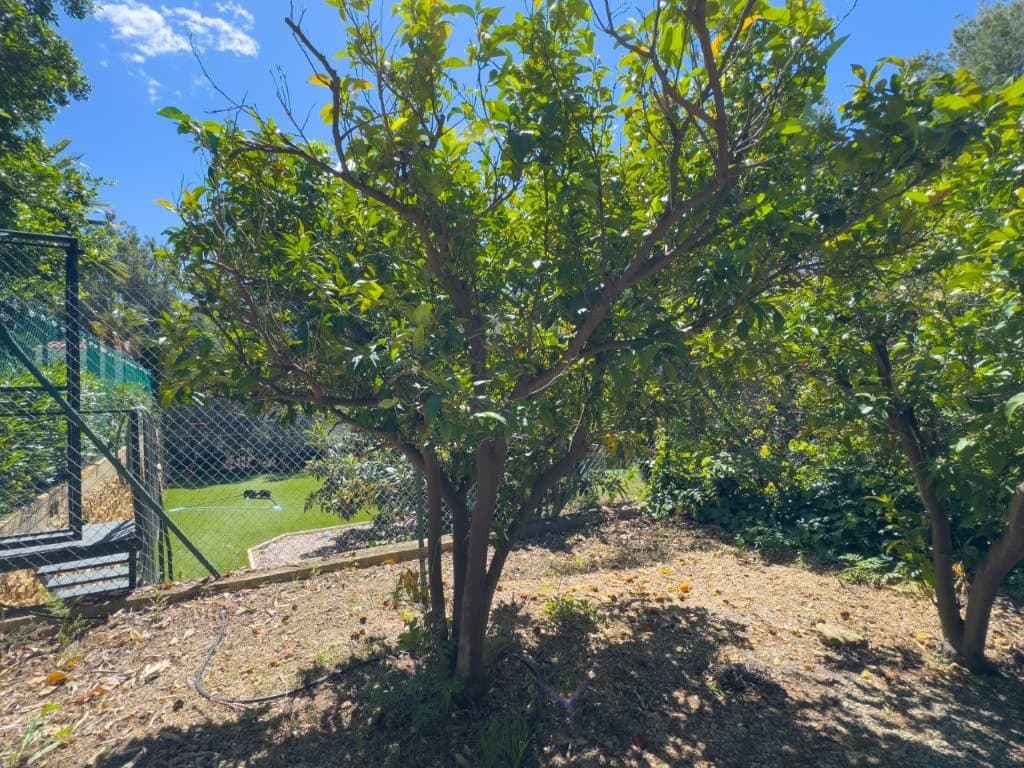 3 slaapkamer Villa te koop in Barranco Hondo met zwembad garage - € 475.000 (Ref: 9876345)