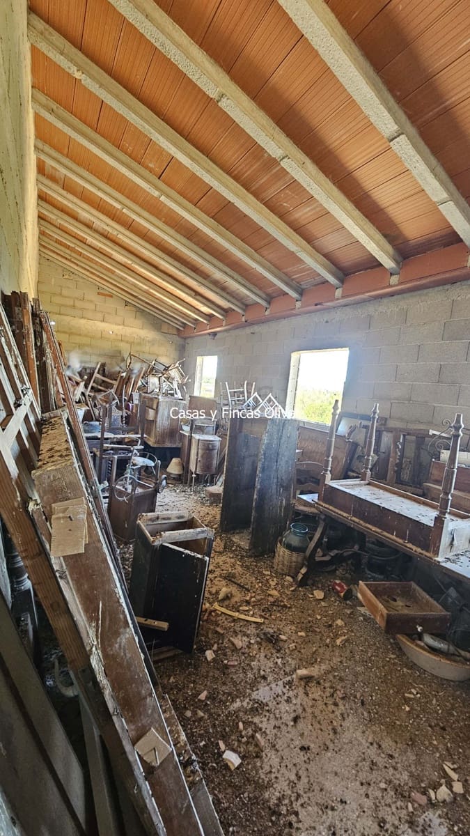 Finca/Casa Rural en Llubí en venta - 685.000 € (Ref: 10116023)