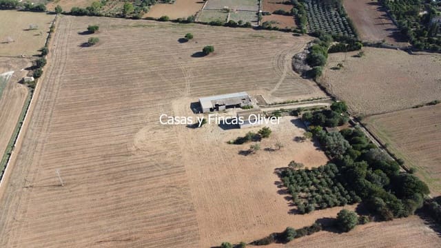 Finca/Casa Rural en Llubí en venta - 685.000 € (Ref: 10116023)