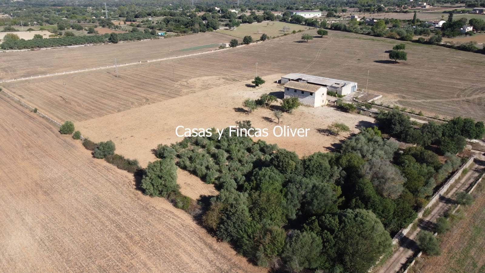 Finca/Casa Rural en Llubí en venta - 685.000 € (Ref: 10116023)