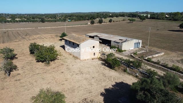 Finca/Casa Rural en Llubí en venta - 685.000 € (Ref: 10116023)