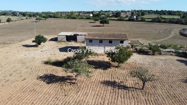 Finca/Casa Rural en Llubí en venta - 685.000 € (Ref: 10116023)