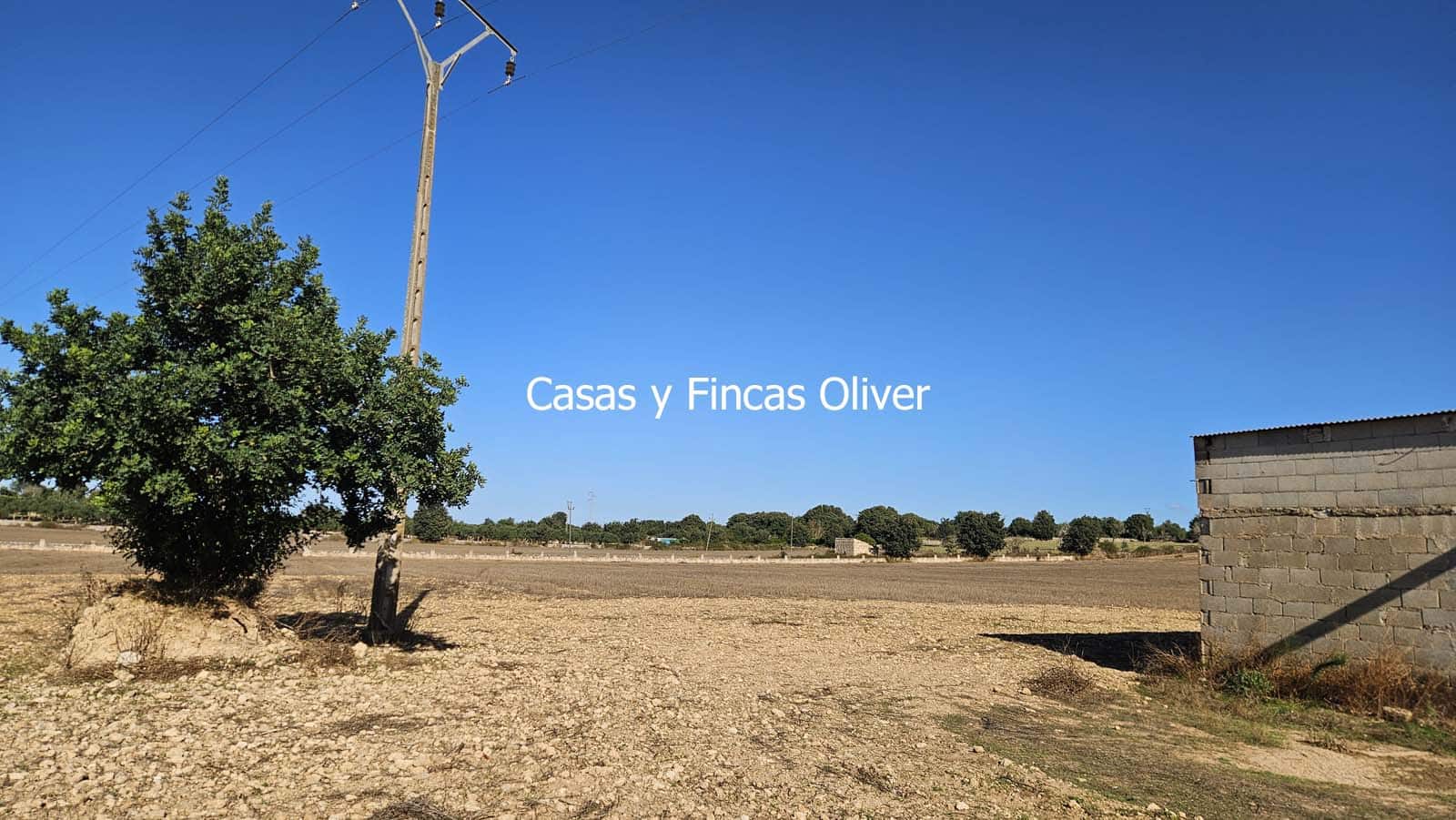 Finca/Casa Rural en Llubí en venta - 685.000 € (Ref: 10116023)