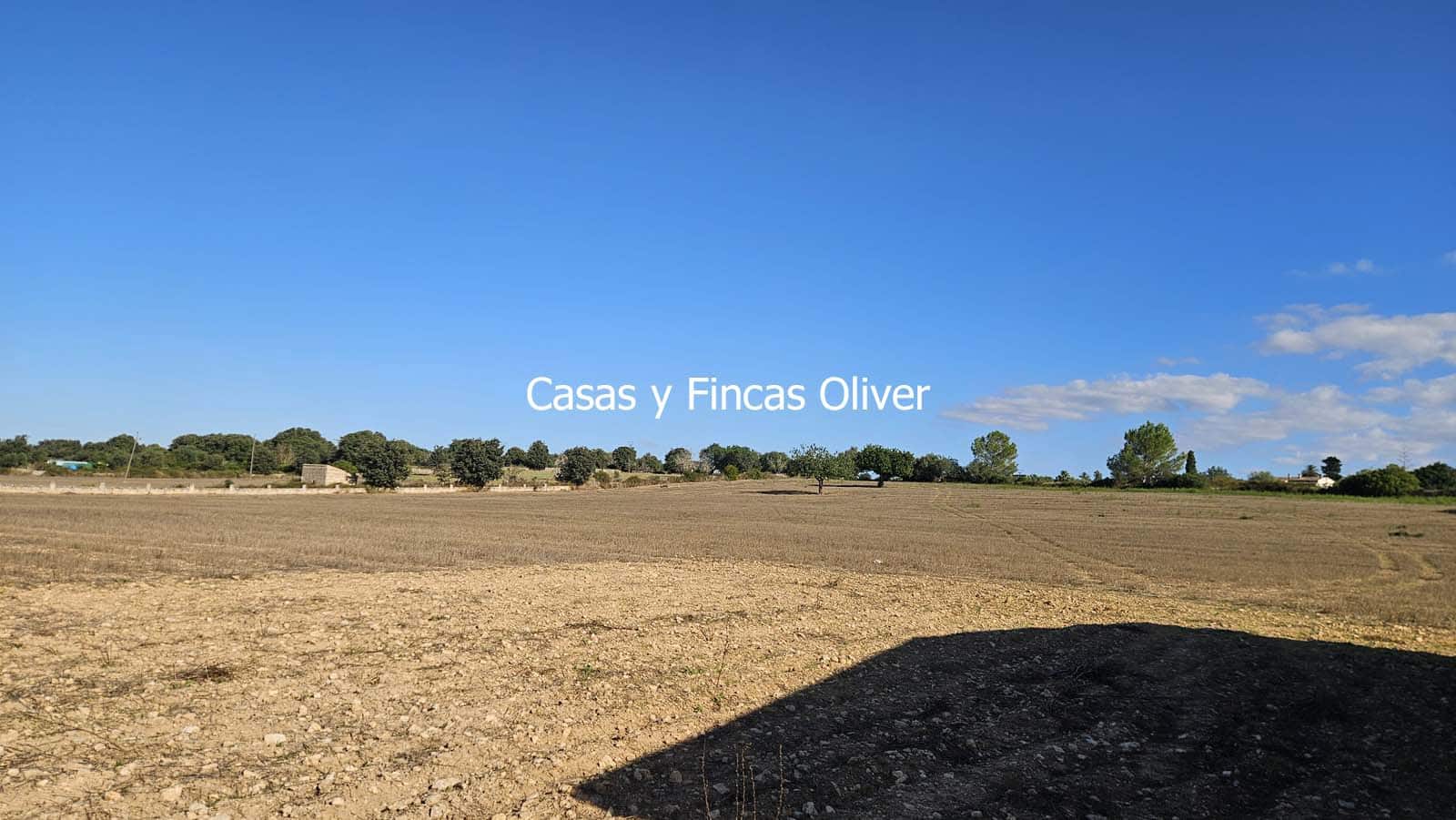Finca/Casa Rural en Llubí en venta - 685.000 € (Ref: 10116023)