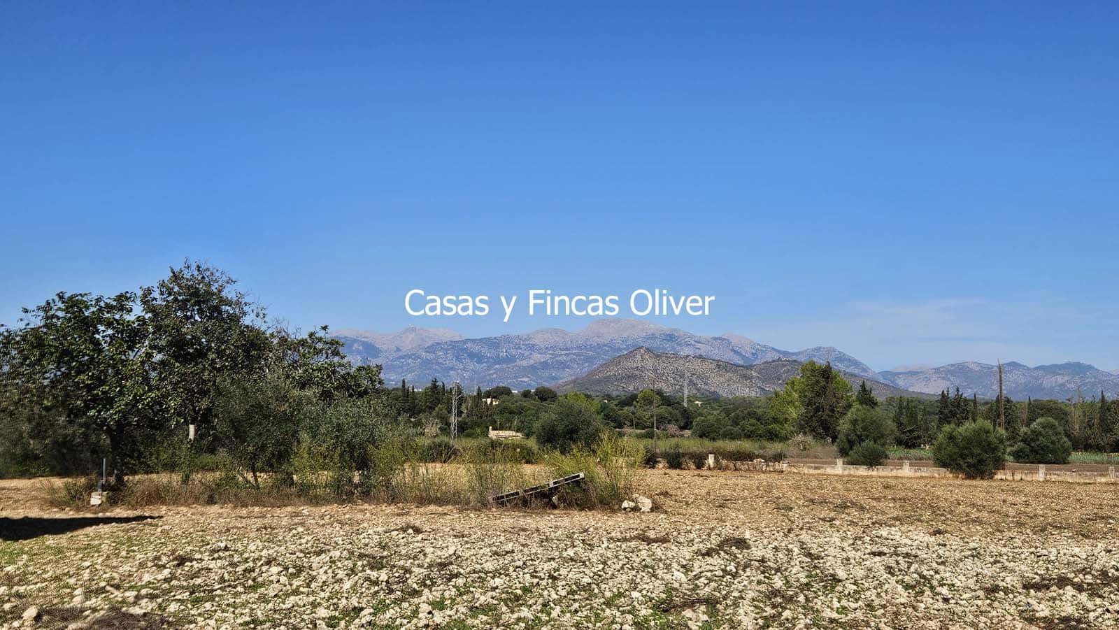 Finca/Casa Rural en Llubí en venta - 685.000 € (Ref: 10116023)