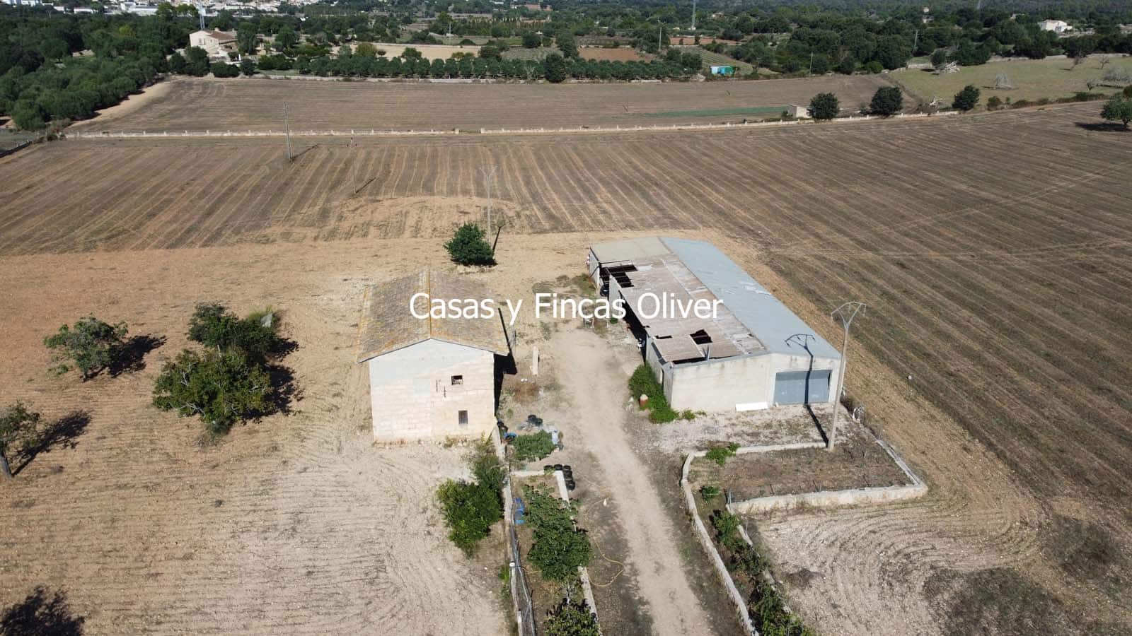 Finca/Casa Rural en Llubí en venta - 685.000 € (Ref: 10116023)