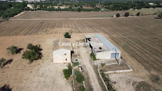 Finca/Casa Rural en Llubí en venta - 685.000 € (Ref: 10116023)